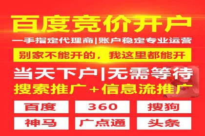 竞价排名广告投放案例